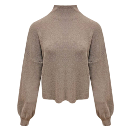Trui met turtleneck Vicky