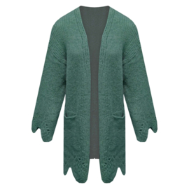 Vest Daantje