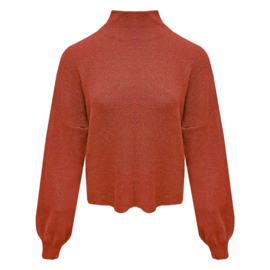 Trui met turtleneck Vicky