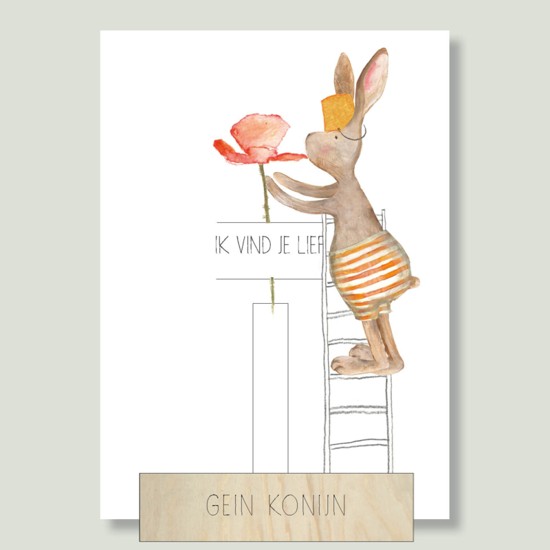 Gein Konijn op de ladder 'Ik vind je lief' (incl. houten  kaartenhouder en vaasje)