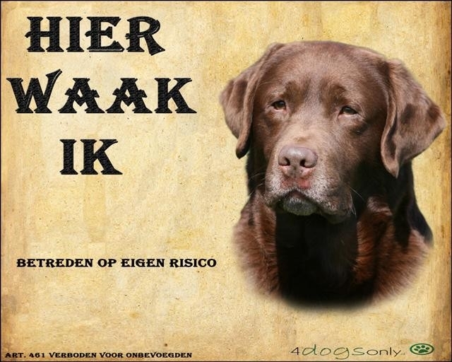 Waakbord Labrador Retriever Bruin Op Waakborden Dog Signs Waakbord Labrador Retriever Bruin Op