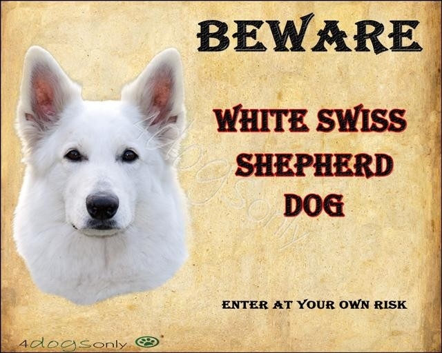 Waakbord Witte Herder / White Swiss Sheperd Dog (Engels).  (UITVERKOCHT)