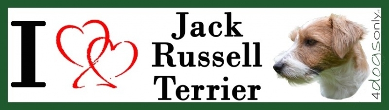 I LOVE Jack Russell Terrier Ruw Haar OP=OP