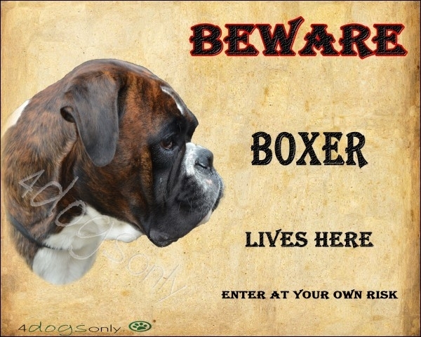 Waakbord Boxer Gestroomd (UITVERKOCHT)