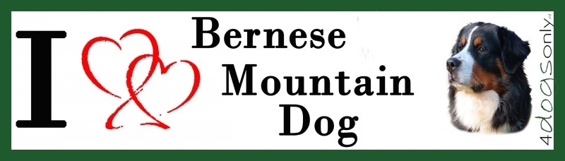 I LOVE Berner Sennen / Bernese Mountain Dog UITVERKOCHT