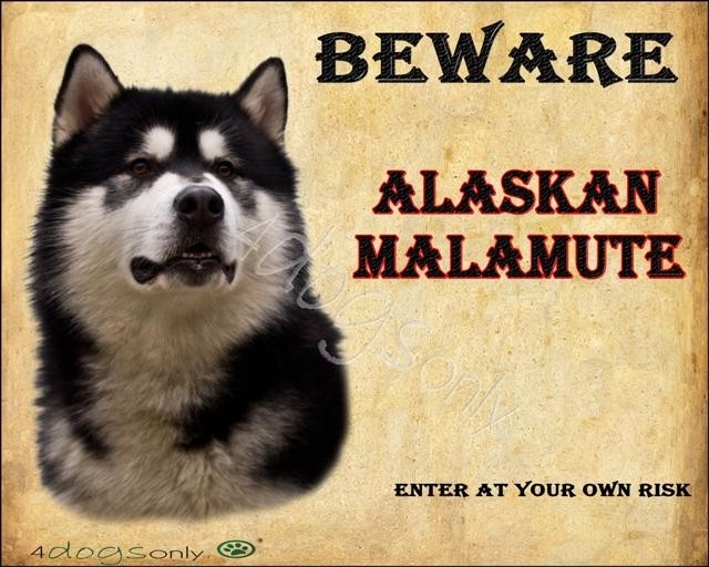 Waakbord Alaskan Malamute Zwart (Engels) UITVERKOCHT