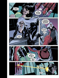 Spider-Man/Black Cat 2 (van 3)