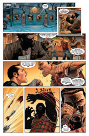 Deadpool/Wolverine 1 Terugkeer van Stryfe (van 2)