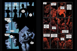 Batman/Catwoman 3 (of 4) English edition