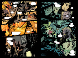 Batman Robin Year One deel 1 (van 2)