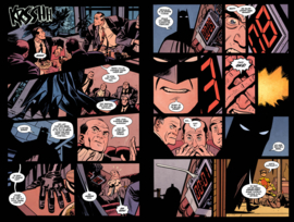 Batman Robin Year One deel 2 (van 2)