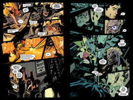 Batman Robin Year One deel 1 (van 2)