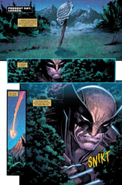 Predator vs Wolverine 2 (van 2) variant cover
