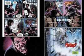Spider-Man: The Lost Hunt 2 (van 2) Variant Cover