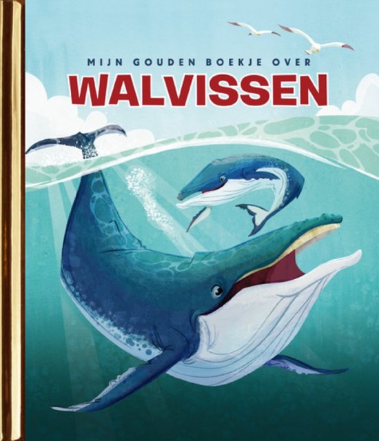 Walvissen