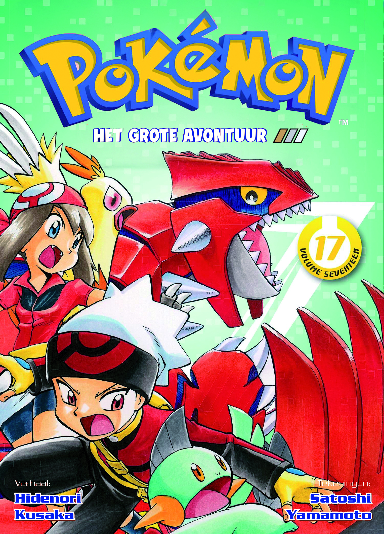 Pokémon Manga 17
