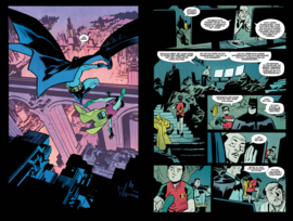 Batman Robin Year One deel 2 (van 2)
