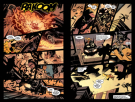 Batman Robin Year One deel 1 (van 2)