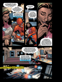 Marvel Knights Spider-Man 4 (van 6)