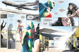 DC ICONS 5 van 6: Justice League 1 (van 2)