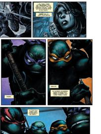 Batman/TMNT 1: Strijd om Gotham City 1 (van 2)