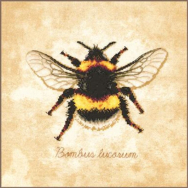 Lanarte - "Bombus Lucorum" (PN-0222208)