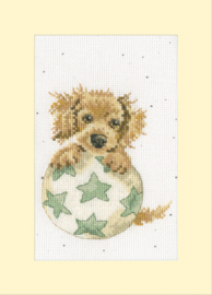 Bothy Threads - "Bouncing Birthday"
