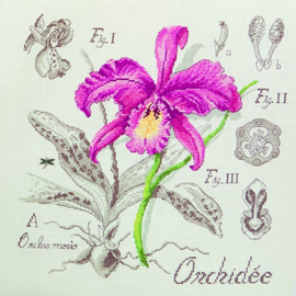 Les Brodeuses Parisiennes - Etude à l'Orchidée (linnen)