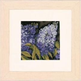 Lanarte - Lilac (PN-0144566)