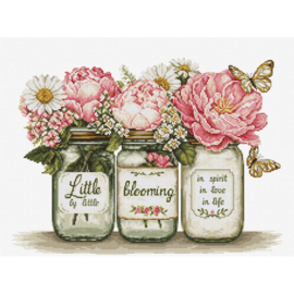 Luca-S - "Little by little blooming"