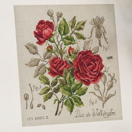 Les Brodeuses Parisiennes - Etude à la rose "Duc de Wellington" (aïda)
