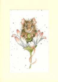 Bothy Threads - "Wishes just for you"