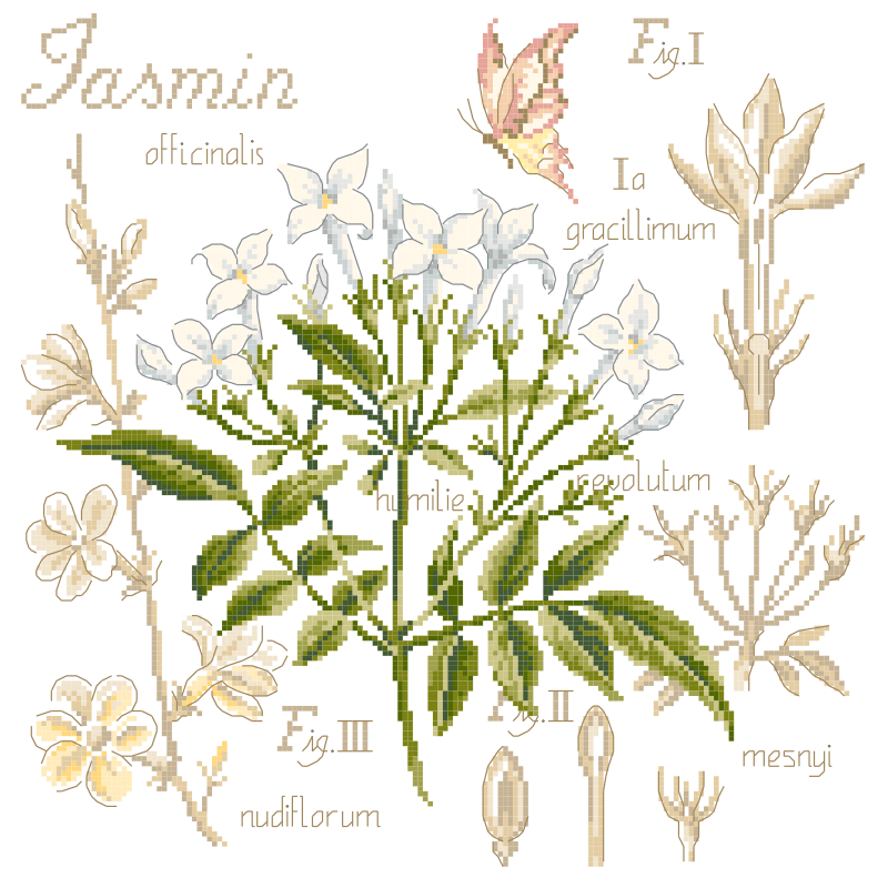 Les Brodeuses Parisiennes - "Etude au Jasmin" (lin)