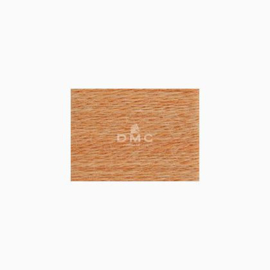 DMC - Eco-Vita Organic Wool - 302