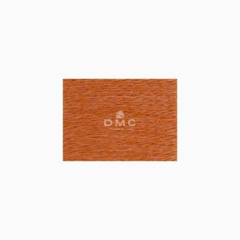 DMC - Eco-Vita Organic Wool - 304