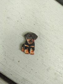 Atelier Bonheur du Jour - "Puppy Beauceron"