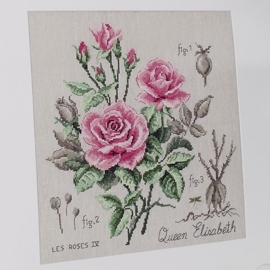 Les Brodeuses Parisiennes - Etude à la rose "Queen Elisabeth" (linnen)