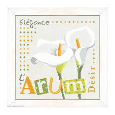 Lili Points - J019 - L'Arum