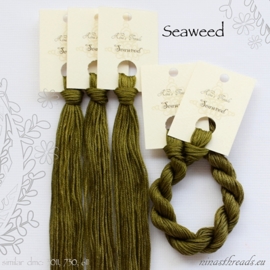 Nina's Threads - Seaweed