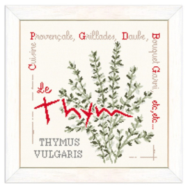 Lili Points - J024 - "Le thym" (tijm)