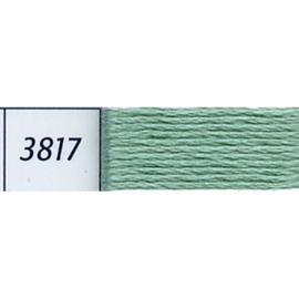 DMC - 3817