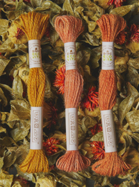 DMC - Eco-Vita Organic Wool - 001
