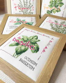 Lili Points - J025 - "Le basilic" (basilicum)