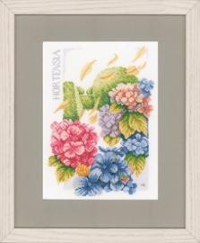 PN-0145977 - Hydrangea Power (Marjolein Bastin)