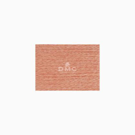 DMC - Eco-Vita Organic Wool - 301
