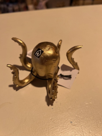 Octopus gold