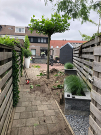 Gerealiseerde projecten