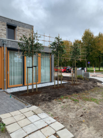 Gerealiseerde projecten
