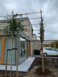 Gerealiseerde projecten