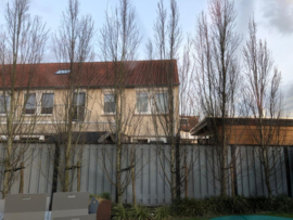 Gerealiseerde projecten